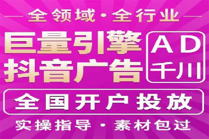 某电商平台的SEM策略与效果展示